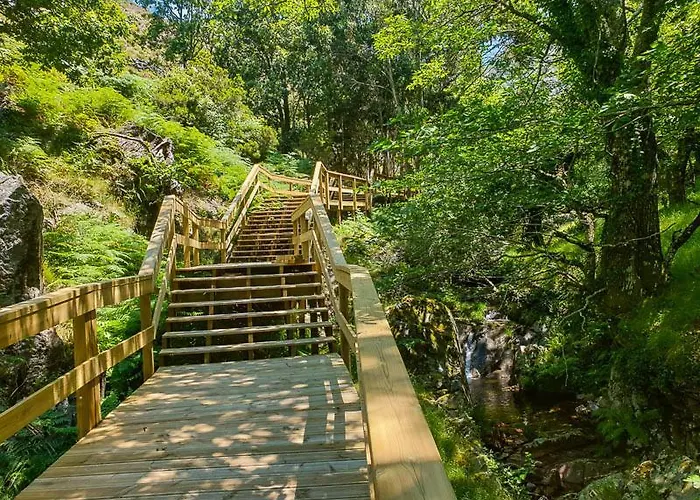 Casa Do Coentral A Sua Casa Rustica * Lousa (Castelo Branco)
